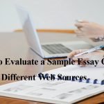 How to Evaluate a Sample Essay On Different Web Sources