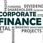 Main Elements And Principles Of Corporate Finance Every Business Graduate Must Know