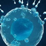 Male infertility treatment Kerala | Infertility Specialist Kerala: CraftIVF