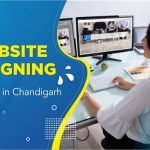 Website Designing Company in Chandigarh