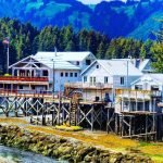 Garden Nursery Shops Seldovia Alaska