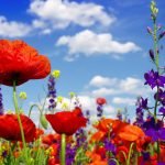 Wrongful death attorney Berkeley