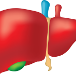 Best liver transplant treatment in India