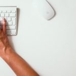 What is the Organization of the Essay?