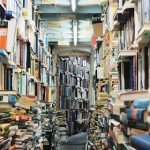 Top 3 Reasons You Should Not Use Free Essay Samples