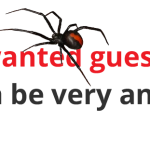 Pest Control Perth | Pest Control Services | Pest Inspections Perth