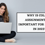 Why Is College Assignment Help Important for Students in 2023?