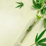 CBD Balm For Dogs St John