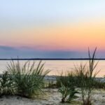 False Claims Attorneys Oakland